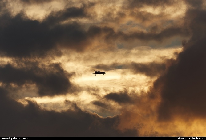 Evening flights