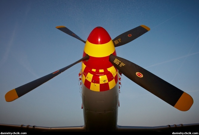 North American P-51D Mustang "Nooky Booky"