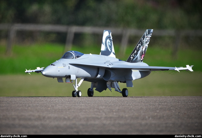 McDonnell-Douglas F/A-18C Hornet (Swiss Air Force)