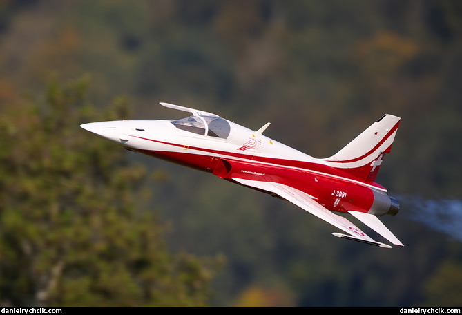 Northrop F-5E Tiger (Patrouille Suisse)