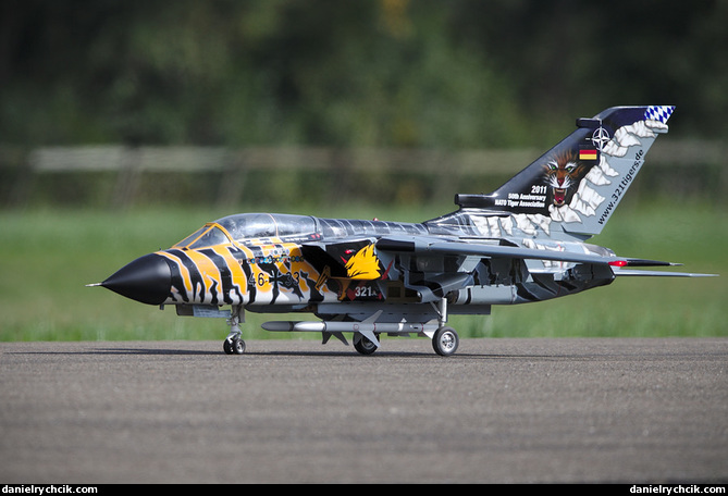 Panavia Tornado ECR