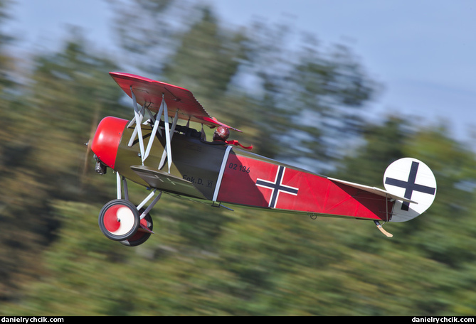 Fokker D.VI