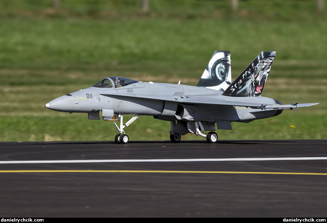 McDonnell-Douglas F/A-18C Hornet