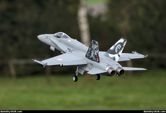 McDonnell-Douglas F/A-18C Hornet