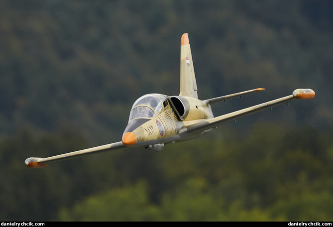 Aero L-39 Albatros (Egyptian Air Force)