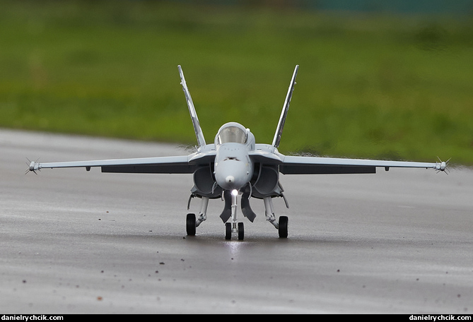 McDonnell Douglas F/A-18C Hornet (Swiss Air Force)