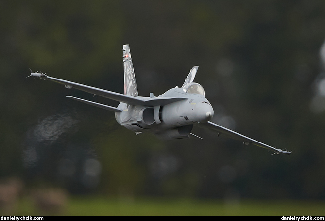 McDonnell Douglas F/A-18C Hornet (Swiss Air Force)