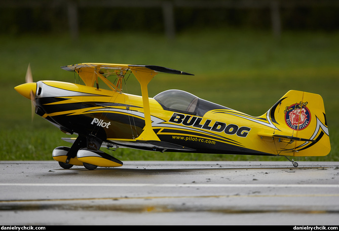 Pitts Bulldog