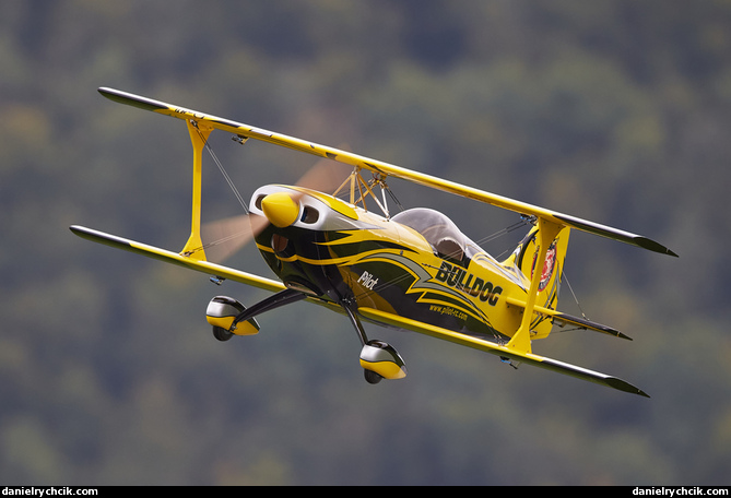 Pitts Bulldog