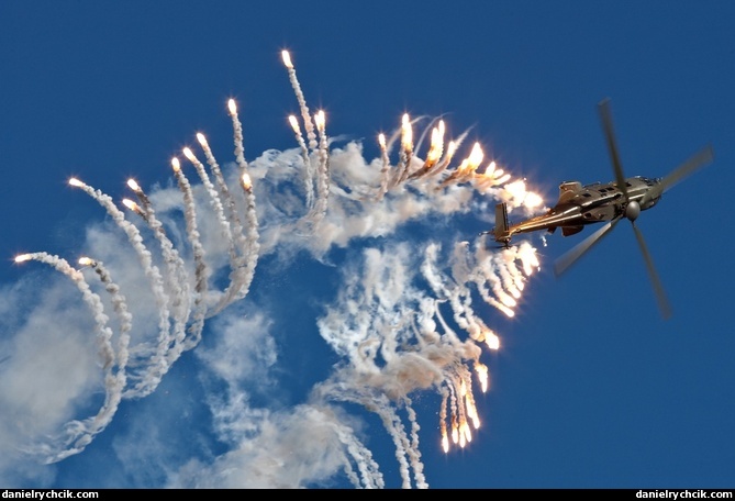 Cougar display with flares