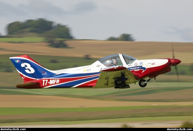 Pioneer 300 Hawk (Pioneer Team)