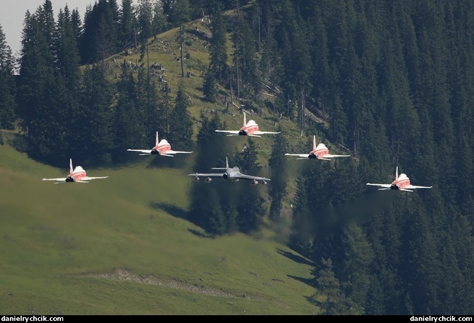 Patrouille Suisse with Hunter T.68