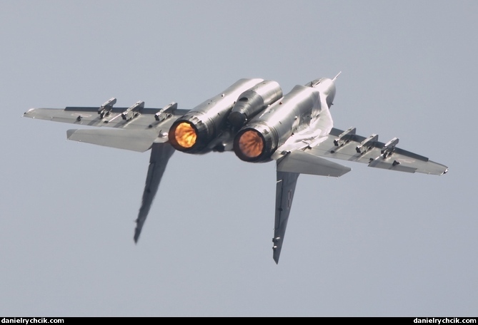 Mikoyan MiG-29 Fulcrum - Polish Air Force