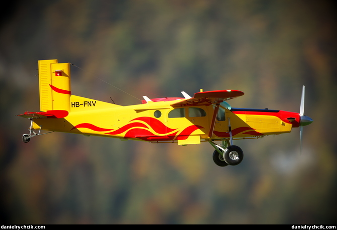 Pilatus PC-6 Porter