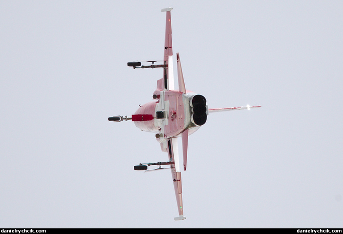 Northrop F-5E Tiger II (Patrouille Suisse)