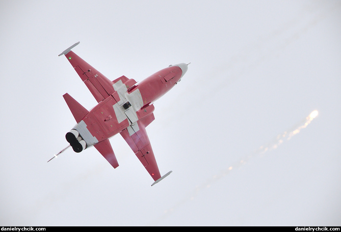 Northrop F-5E Tiger II (Patrouille Suisse)