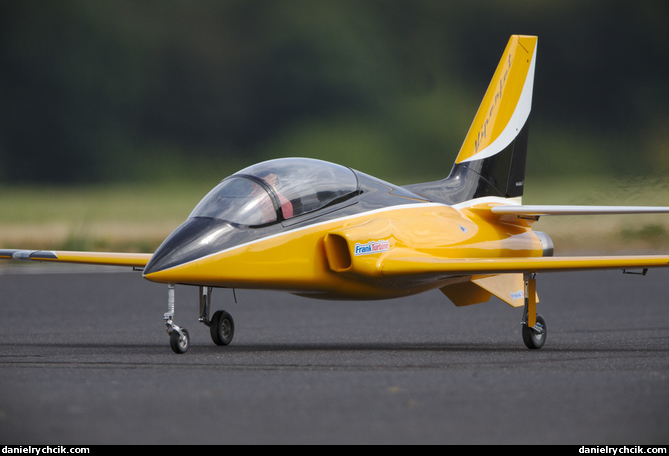 Viperjet RC