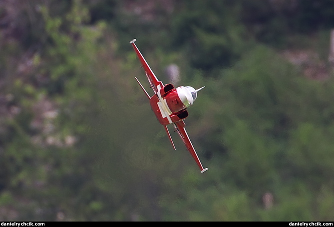 Northrop F-5E Tiger (Patrouille Suisse)