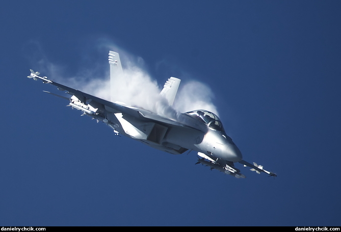 F/A-18F Super Hornet