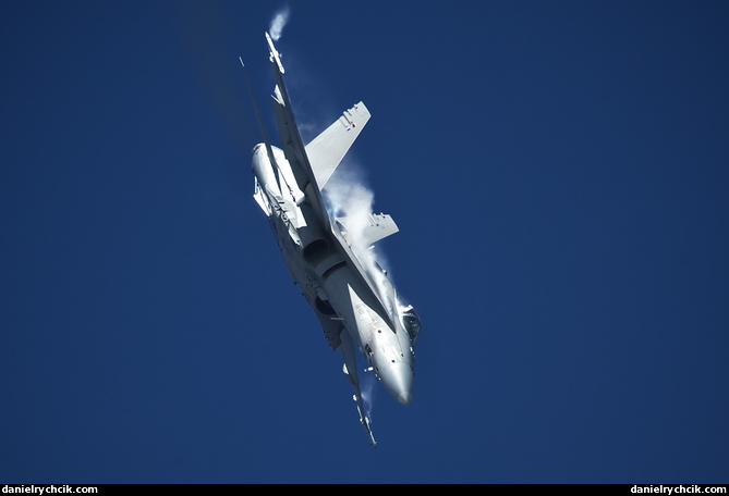 F/A-18C Hornet (Finnish Air Force)