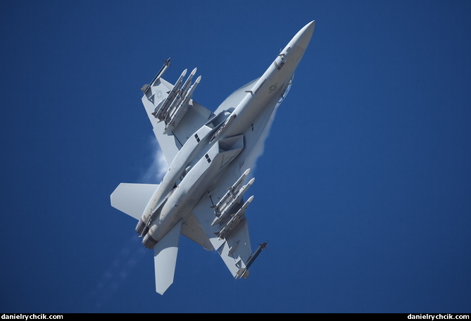 F/A-18F Super Hornet