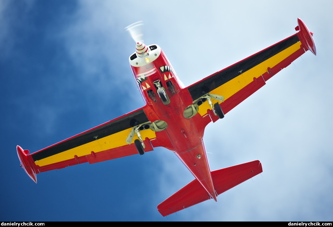 SIAI Marchetti SF260 (Red Devils)