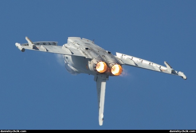 Eurofighter Typhoon (Spanish Air Force)