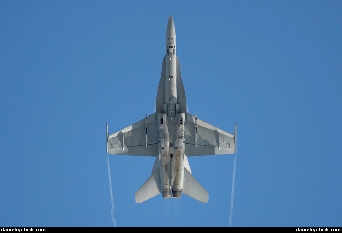 Finnish F/A-18C solo display