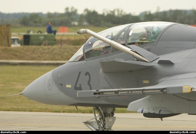 JAS-39D Gripen (Hungarian Air Force)