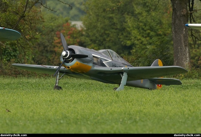 Focke-Wulf FW190A (replica)