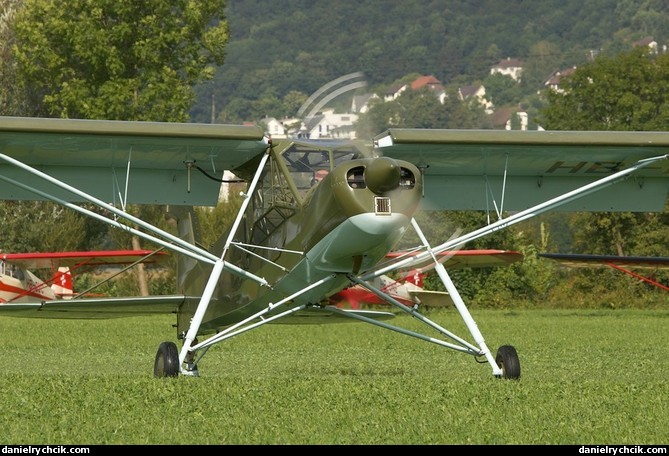 Slepcev Storch