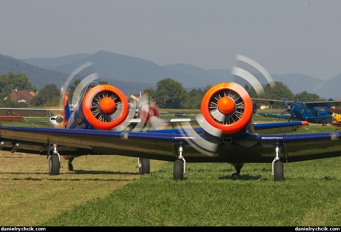 North American T-6 Texan (Toni and Walter Eichhorn)