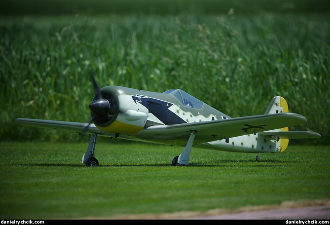 Focke-Wulf FW-190