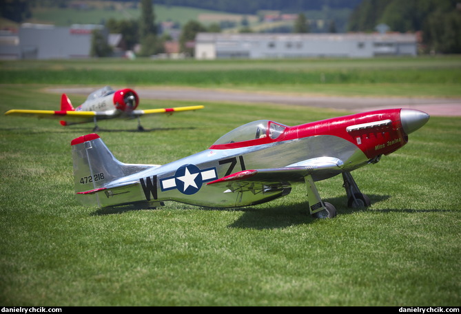 North American P-51D Mustang