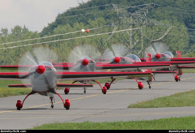 Jordanian Falcons