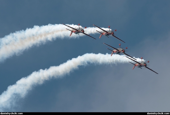 Extra 300L (Jordanian Falcons)