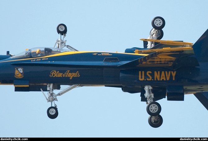 F/A-18A Hornet (Blue Angels)