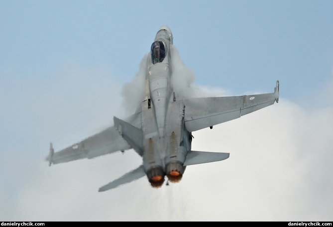 F/A-18C solo display (Finnish Air Force)