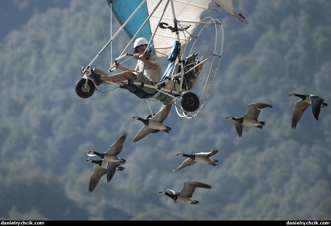 Christian Moulec and his birds