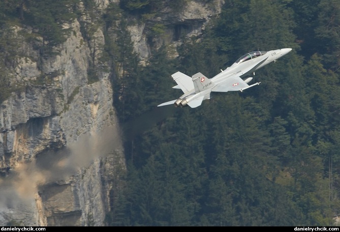 McDonnell Douglas F/A-18D Hornet