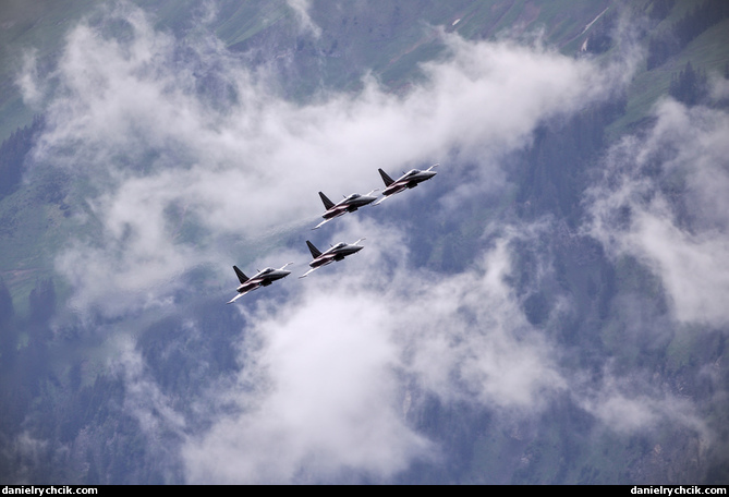 Northrop F-5E Tiger (Patrouille Suisse)