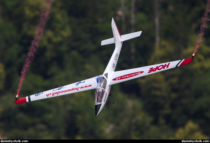 DG Flugzeugbau DG-800