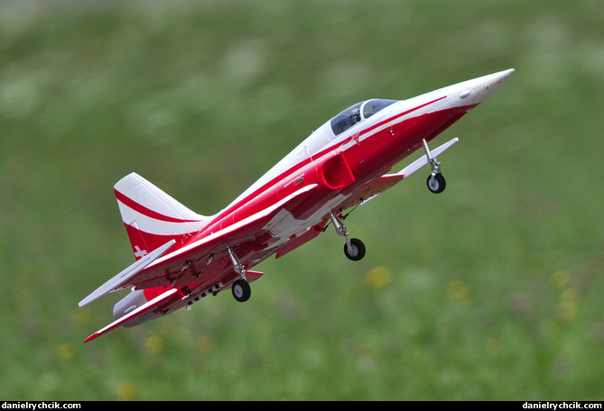 Northrop F-5E Tiger II (Patrouille Suisse)