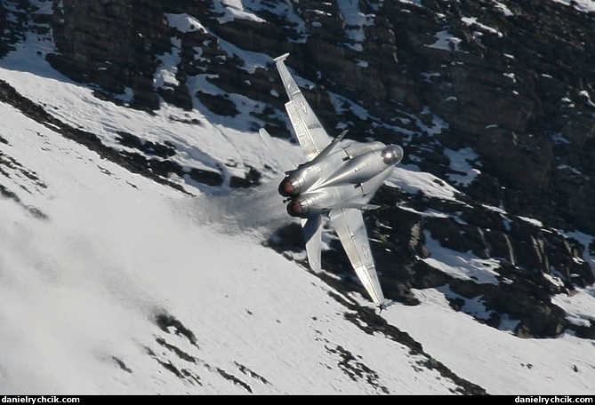 McDonnell Douglas F/A-18C Hornet