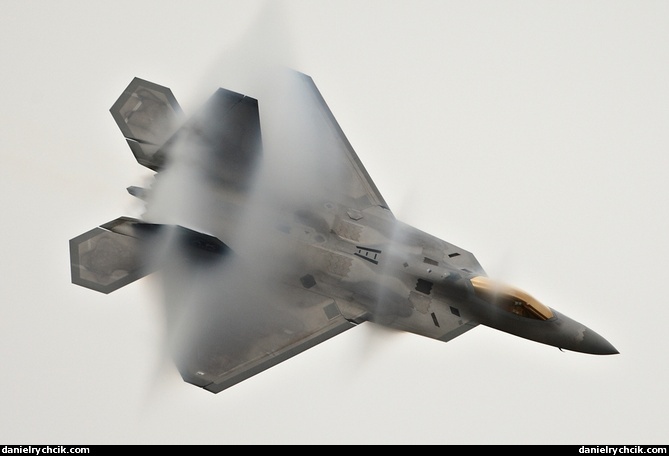 Lockheed Martin F-22A Raptor display