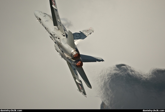 F/A-18C Hornet solo display