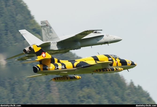 Hunter Tiger with F/A-18C Hornet