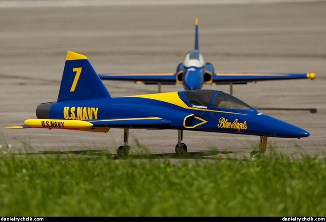 RC model - Blue Angels