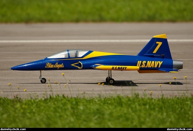 RC model - Blue Angels