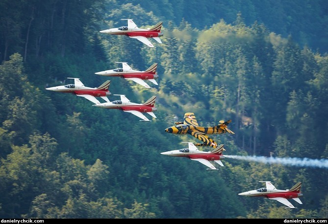 Patrouille Suisse and Hunter Tiger